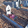 Борисова Зоя Николаевна