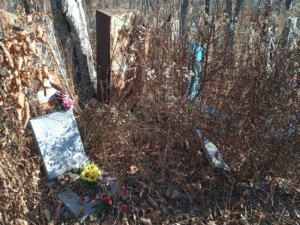 3e78974f-dd7d-4c6e-a841-f25a9ac62da0 Воронина Анисья Васильевна