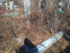 Ольгин Василий Иванович