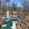 Никифорова Анна Илларионовна