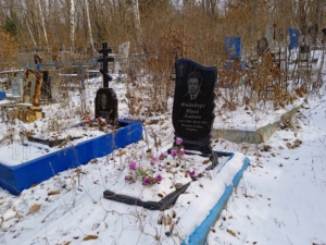 Файнберг Юрий Львович