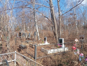 40c79b7e-864a-4fa2-b933-1af02de2599b Фролова Ангелина Ивановна