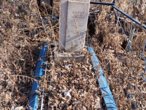 Ильичев Валерий Евгеньевич