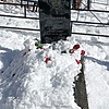 Рыжанова Мария Ивановна