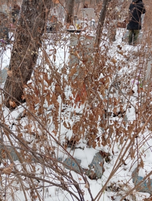 Котков Александр Александрович