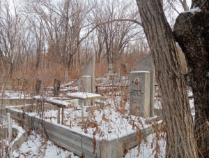 41b11311-30be-43d6-8dd3-141fbd541882 Зоренко Андрей Андреевич