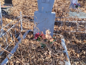 Барсукова Евдокия Ивановна