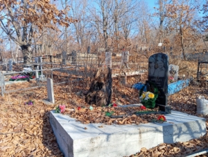 4231c9e5-be37-4240-9f56-0e27f650769e Никогда Александр Михайлович