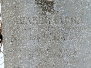 Шаповалова Екатерина Илларионовна