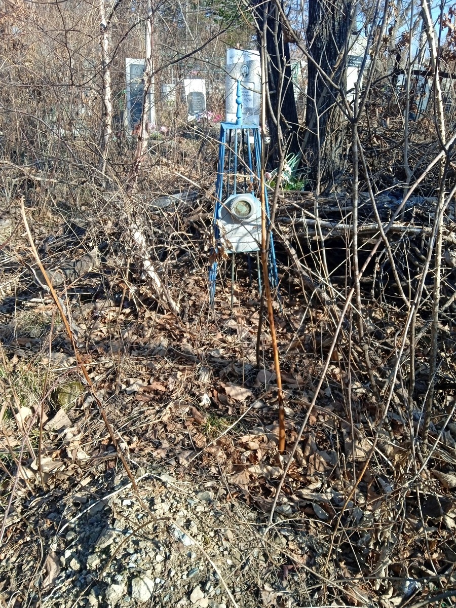 42878c98-a77b-40f1-8c61-3036d4f89686 Удалова Елизавета Васильевна