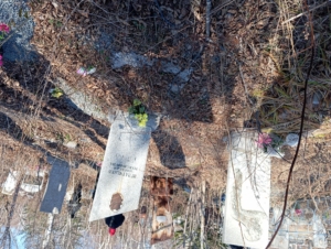 Игнатенко Николай Максимович