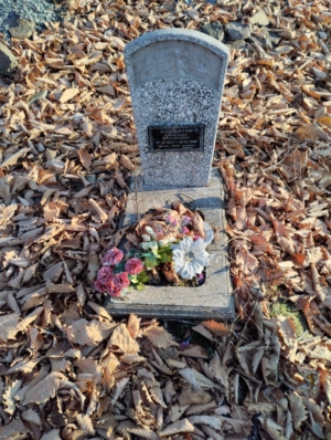 Солдатов Александр Михайлович