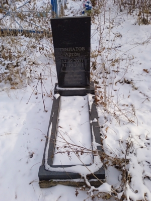 Гениатов Артём Неизвестно