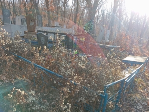 435cd46f-08fa-43e8-9be7-3938fea65f04 Маторин Николай Павлович