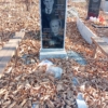 Фоменко Владимир Иванович