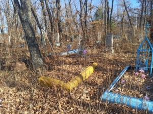43b85239-9002-45a9-9df3-917bd34a699e Чернецова Наталья Федоровна