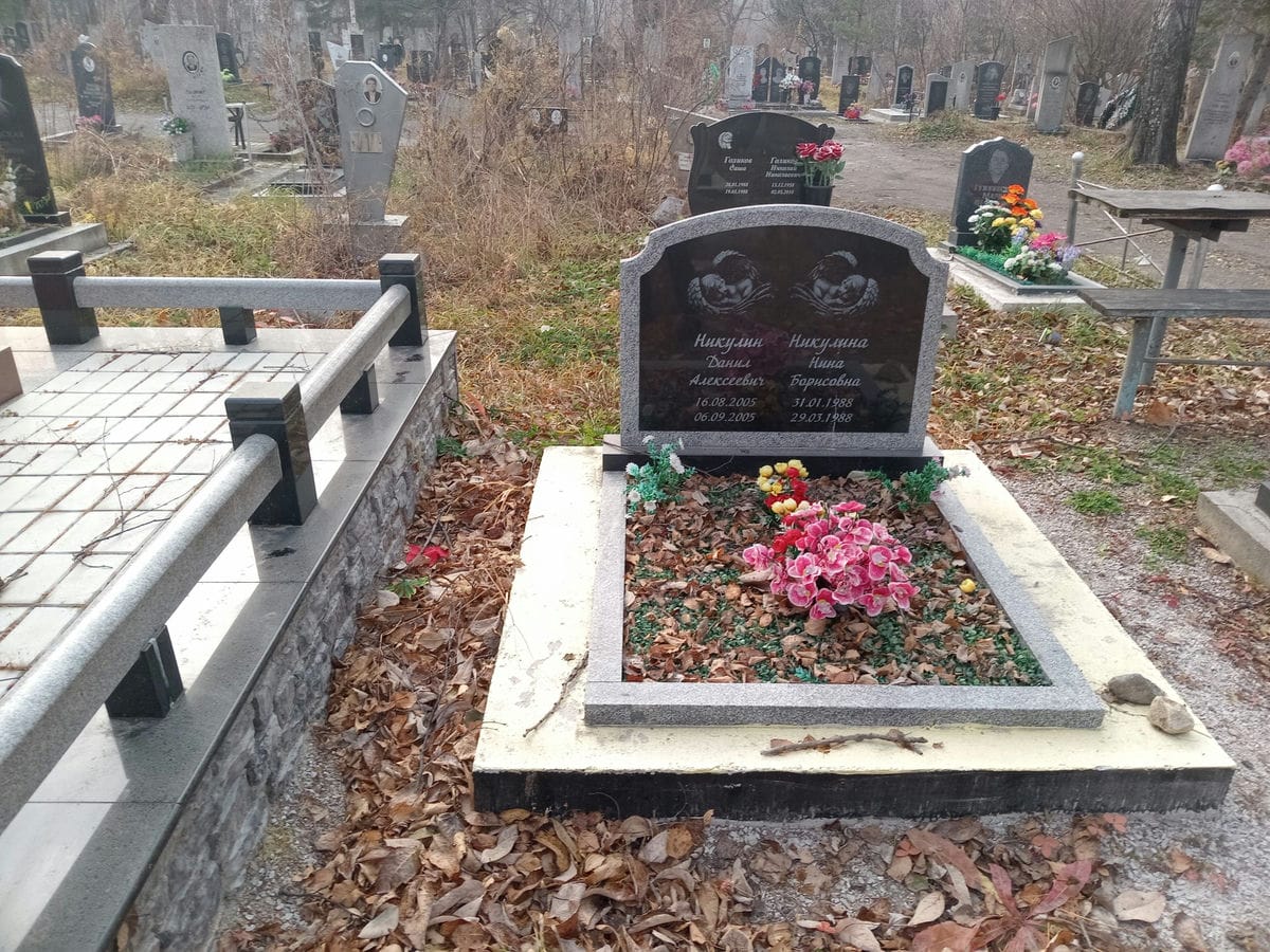 43bc080c-0bc0-4f59-a163-bac745f73f96 Никулин Данил Алексеевич