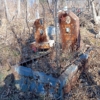 43dc83d1-52b2-493f-a40e-29ab47946c8e Неизвестно Неизвестно Неизвестно