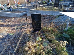 4526b07a-7978-489e-9b6a-2dc2efb4e145 Романовский Владимир Дмитриевич