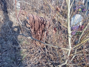 Неизвестно Неизвестно Неизвестно