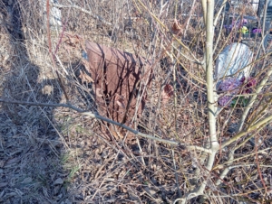 Неизвестно Неизвестно Неизвестно