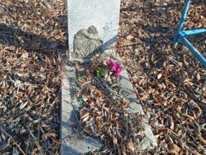 Новгородцева Вера Николаевна