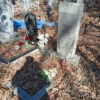 Козлова Лидия Петровна