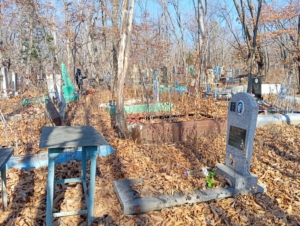 Воронкина Наталья Андроновна