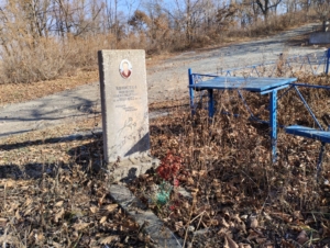 Копистка Николай Александрович