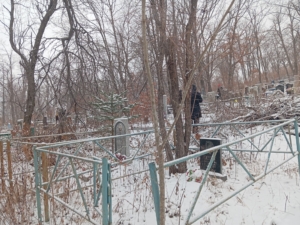 4772ea77-d71d-44a1-a451-b2df0c512639 Тупицын Анатолий Серьгеевич