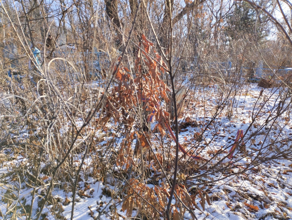 Неизвестно Неизвестно Неизвестно