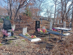 Дзема Анна Александровна