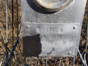 Кротова Ирина Борисовна