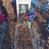 Модженок Александр Петрович