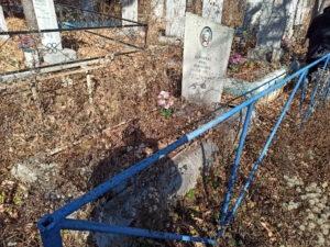 4a25fc25-e488-4ddc-84b9-75f76ad8d45e Барышева Анна Андреевна