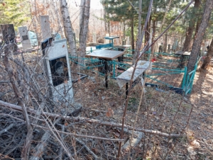 Петрова Нина Павловна