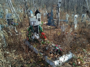 Коростелева Юлия Егоровна