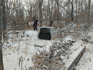 4a72e568-4182-4003-94b9-13188492bb69 Шевчук Ульяна Павловна