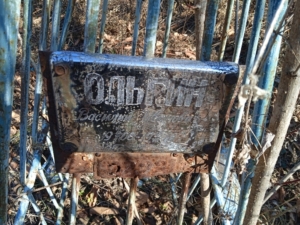 Ольгин Василий Иванович