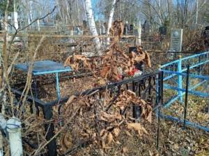 Ижикеева Татьяна Ивановна