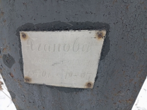 Агапова Мария Николаевна