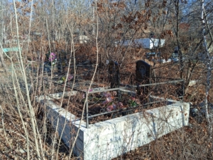 4b4eeb58-6602-431f-b808-6843f5375358 Парфенова Мария Александровна