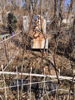 Жуков Николай Григорьевич