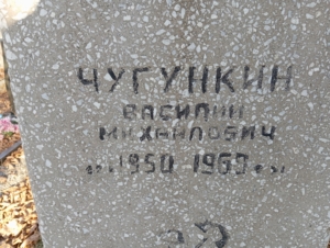 4be5799e-458d-4238-853e-22cac70b202d Чугункин Василий Михайлович