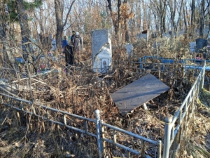 4c0f9588-0f04-4412-8a63-f910e178878f Багреева Анна Васильевна