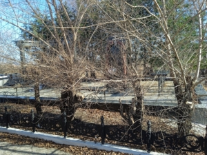 Савин Владимир Алексеевич