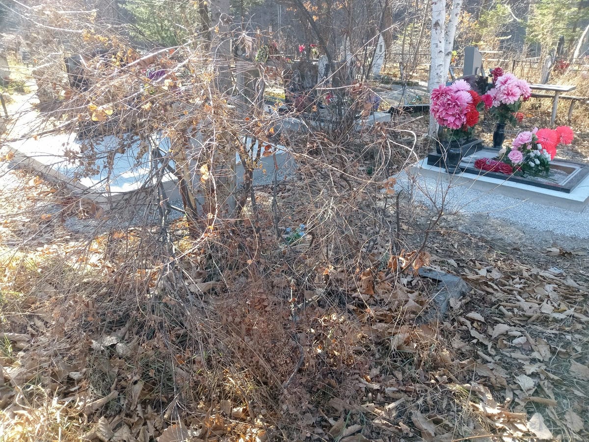 Черненков Виталий Петрович