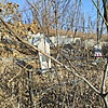 Давлетшина Ираида Егоровна