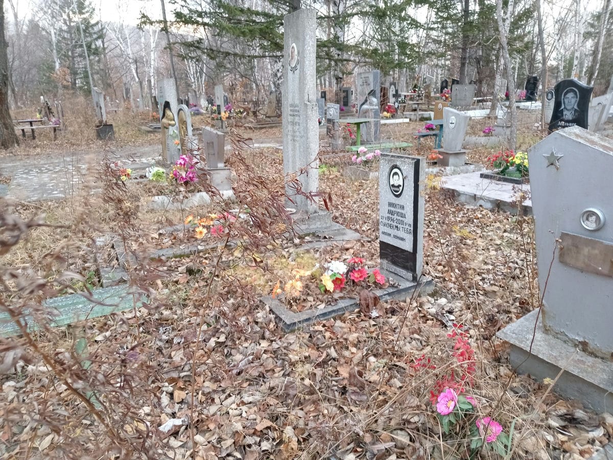 Никитин Андрюша Неизвестно