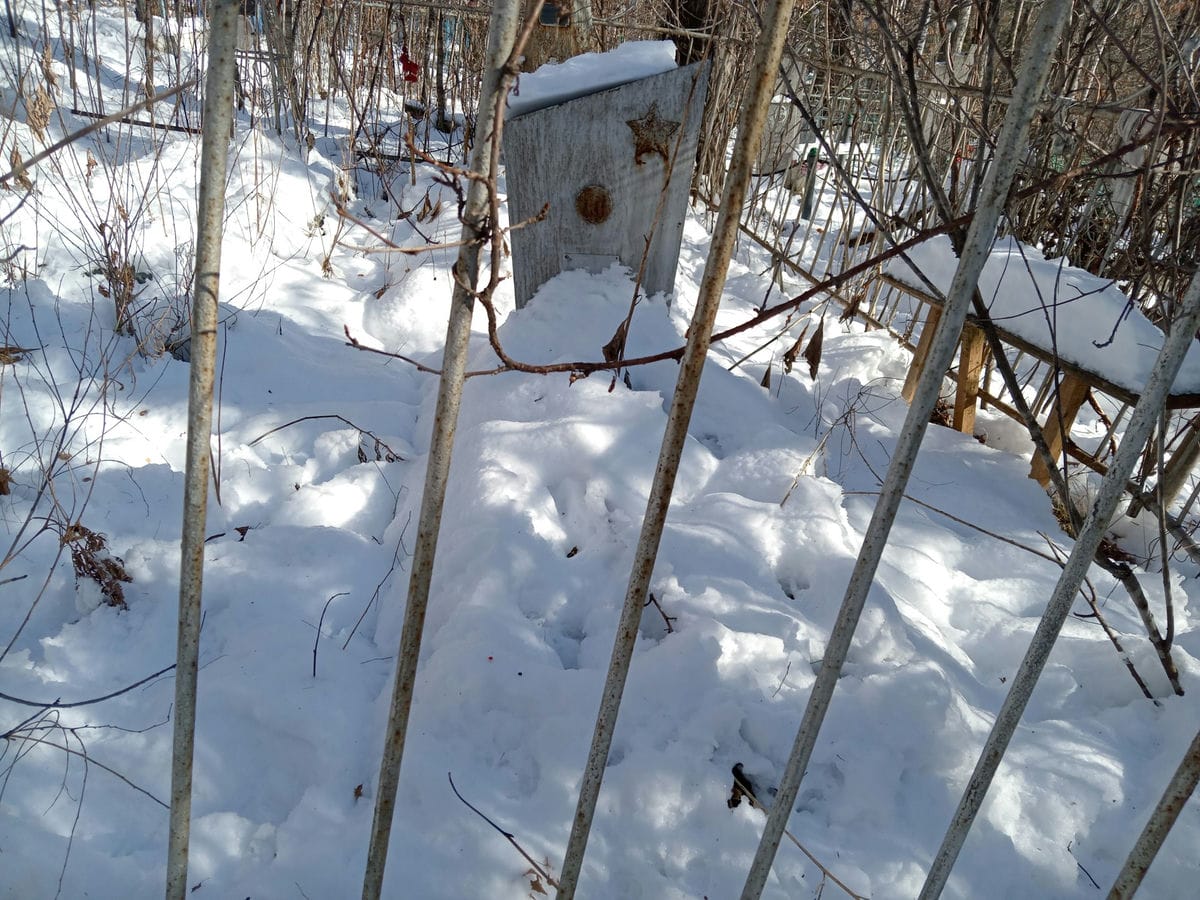 Шамарова Анна Григорьевна